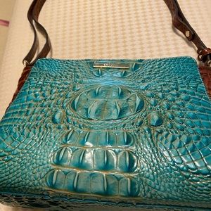 Beautiful Brahmin bag